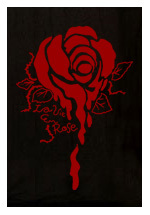logo.jpg